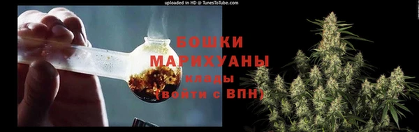 ПСИЛОЦИБИНОВЫЕ ГРИБЫ Абдулино
