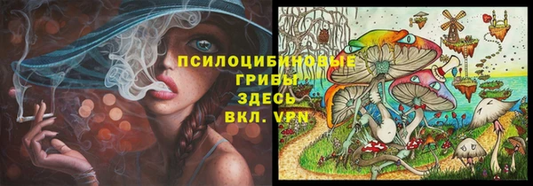дурь Абаза